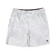 Light Grey 02